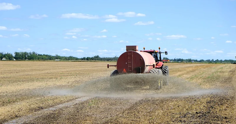 How green hydrogen is made: the electrolysis methods, compared