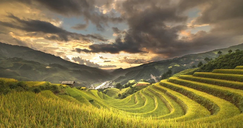 Why should we be eating less meat for the environment?