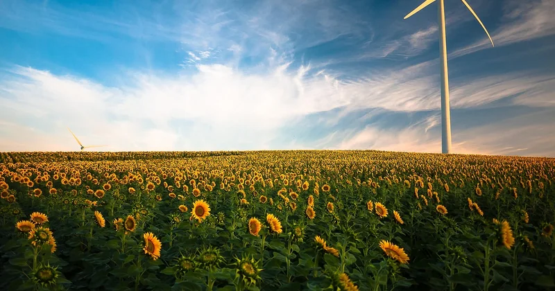 Does a wind turbine pay for itself in its lifetime?