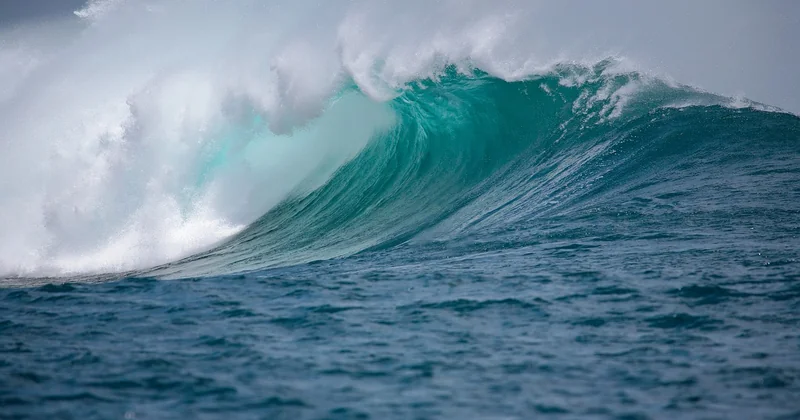 What actually causes ocean acidification