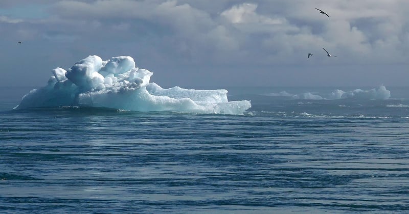 The Water Cycle and How Climate Change Disrupts It