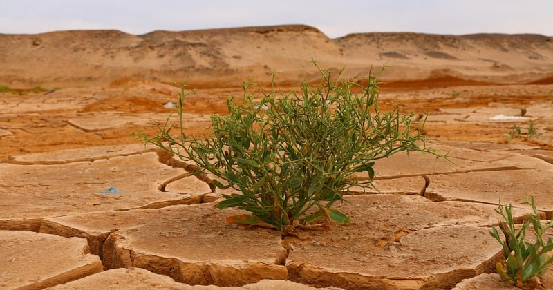 Difference Between Weather and Climate Explained Simply for Beginners