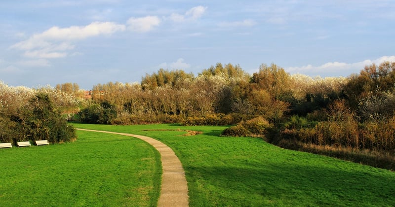 Minimalist Living as a Path to Lower Consumption
